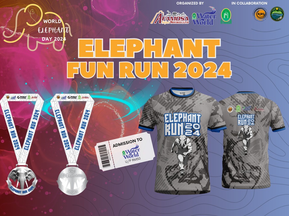 Elephant Run 2024